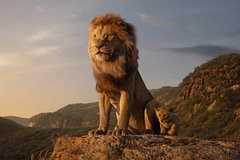 В 2024 году Disney покажет приквел «Короля льва» про Муфасу