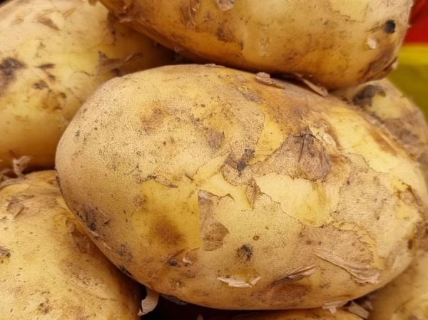 Как правильно приготовить картофельный сок: он заживляет слизистую оболочку желудка